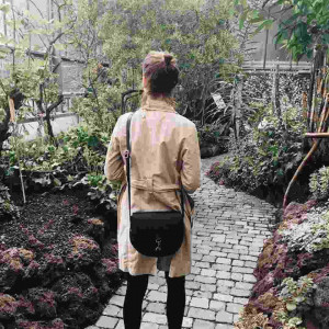 _annywhere_
